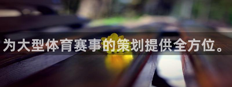 为大型体育赛事的策划提供全方位。