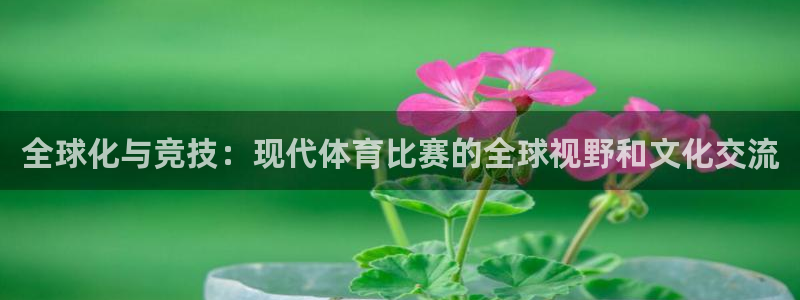 全球化与竞技：现代体育比赛的全球视野和文化交流