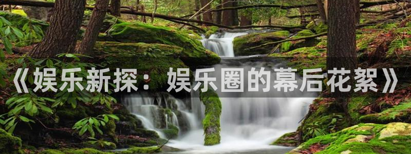 《娱乐新探：娱乐圈的幕后花絮》