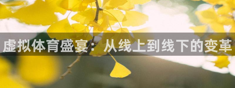 虚拟体育盛宴：从线上到线下的变革