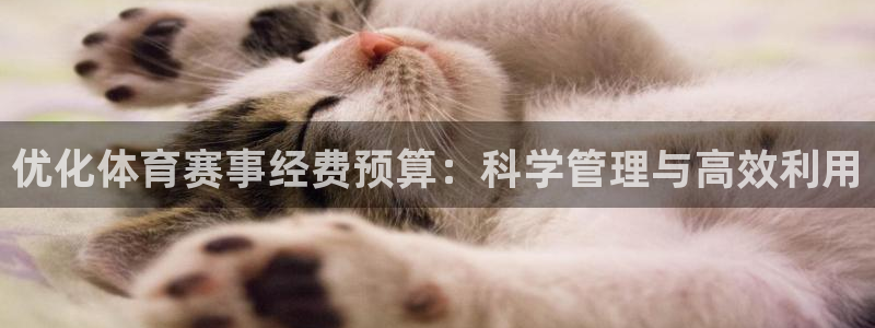 优化体育赛事经费预算：科学管理与高效利用